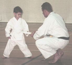 karate-best-275-12k.jpg (11415 bytes)