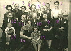 roseclan-new-nos-hi-17k.jpg (16442 bytes)