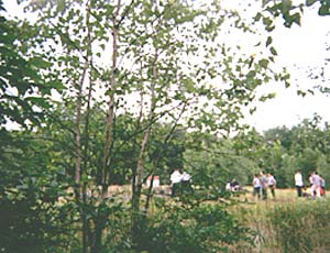 woods-at-camp-by-Shlomo-22k.jpg (22399 bytes)