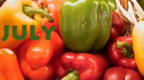 peppers-206-115h-cvr-copy-9.jpg (9177 bytes)