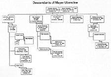 mayer-2-8kjpg.jpg (7847 bytes)