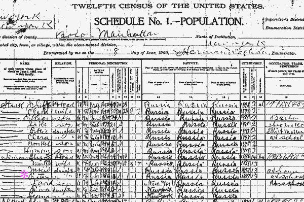 Census-asterisk36k.gif (36492 bytes)