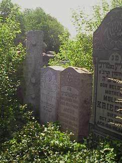 Fannie-w-3-18k.jpg (18827 bytes)