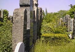 Sam-row-11k.jpg (11380 bytes)