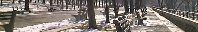 crisp-benches-640x106-15k.jpg (15437 bytes)